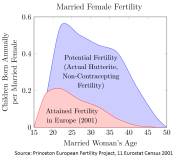 Married Female Fertility
